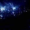 amyleefans51031.png