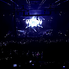amyleefans51691.png