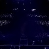 amyleefans51781.png