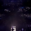 amyleefans52231.png