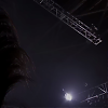 amyleefans53011.png