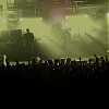 amyleefans53311.png