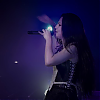 amyleefans53491.png