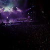 amyleefans53761.png