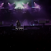 amyleefans53791.png