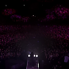 amyleefans53851.png