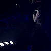 amyleefans54331.png