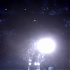 amyleefans54361.png