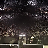 amyleefans54991.png