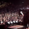 amyleefans55321.png