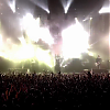 amyleefans55351.png
