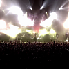 amyleefans55381.png