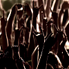 amyleefans55411.png