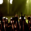 amyleefans55441.png