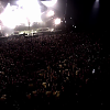 amyleefans55501.png