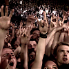 amyleefans55531.png