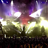 amyleefans55591.png