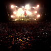amyleefans55681.png
