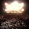 amyleefans55741.png