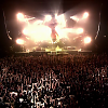 amyleefans55771.png
