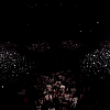 amyleefans56191.png