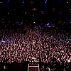 amyleefans56401.png