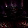amyleefans56581.png