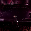 amyleefans56731.png