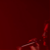 amyleefans56851.png