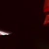 amyleefans56971.png