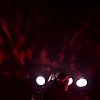 amyleefans57121.png