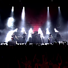 amyleefans57151.png