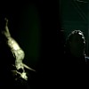 amyleefans57511.png