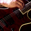 amyleefans58051.png