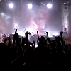 amyleefans58081.png