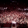 amyleefans58171.png