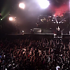 amyleefans58951.png
