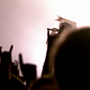 amyleefans59251.png