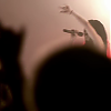 amyleefans59281.png