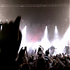 amyleefans59491.png