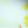 amyleefans03841.png