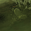 amyleefans05251.png