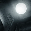 amyleefans05851.png