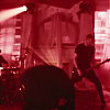 amyleefans01111.png