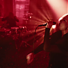 amyleefans01201.png