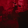 amyleefans01291.png