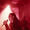 amyleefans01351.png