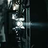 amyleefans01741.png