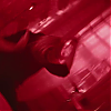 amyleefans02881.png