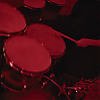 amyleefans02941.png